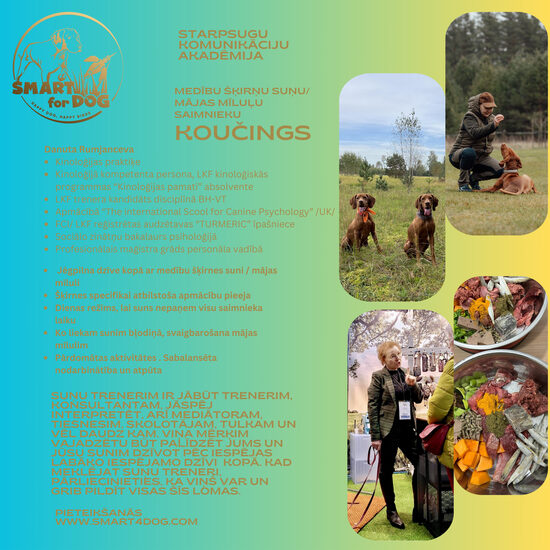 Koncepta nodarbības/ konsultācijas medību šķirņu suņu īpašniekiem