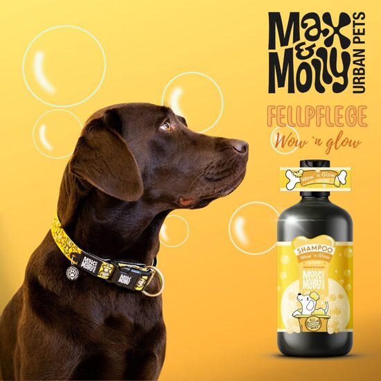 WOW'N GLOW * ŠAMPŪNS SUŅIEM * SPĪDĪGA APMATOJUMA FORMULA *250ML