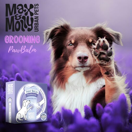 PAWFECTION * BALZĀMS ĶEPĀM * KOKOSRIEKSTU EĻĻA UN ŠI SVIESTS * 100% DABĪGS * 50ml