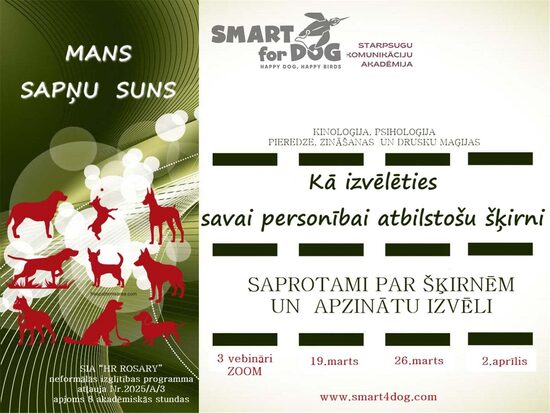 VEBINĀRS “MANS SAPŅU SUNS, JEB KĀ IZVĒLĒTIES SAVAI PERSONĪBAI ATBILSTOŠU ŠĶIRNI.”