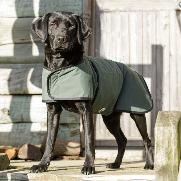 Dog & Field 2-in-1 Waterproof Drying Coat 