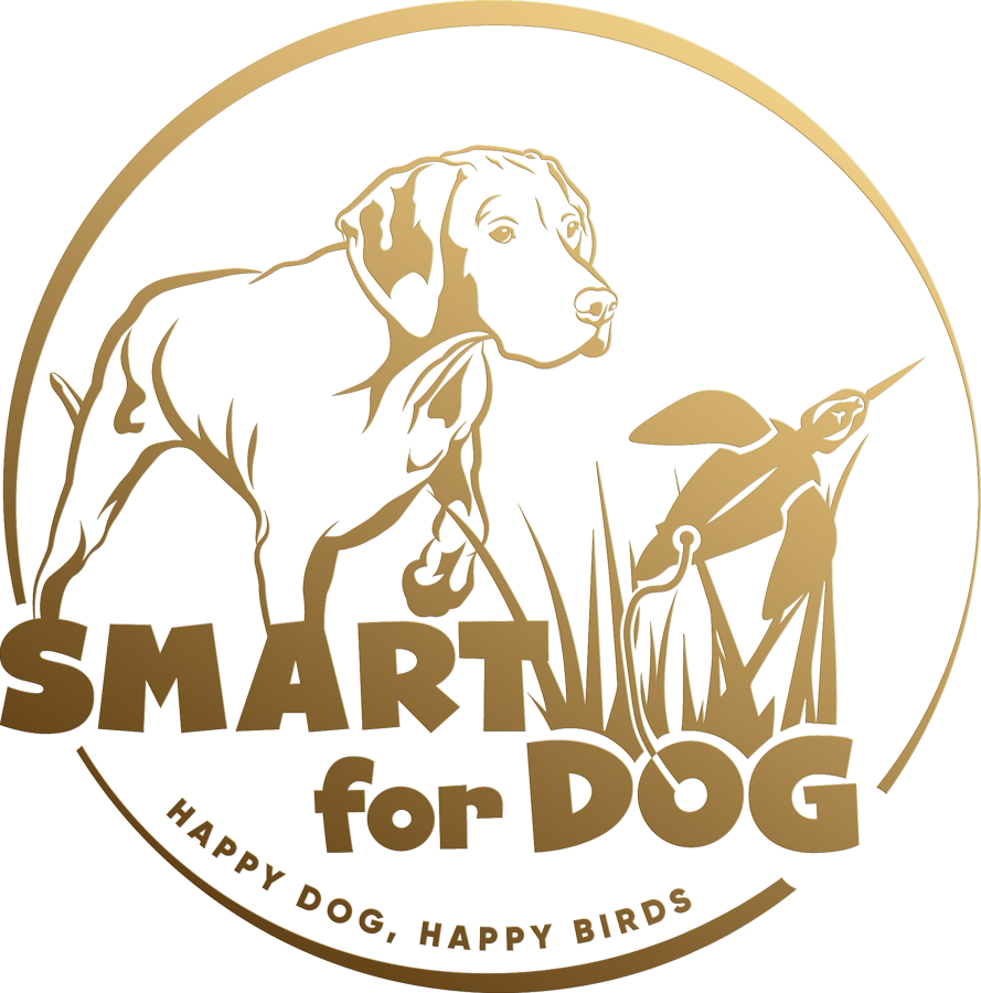 smart4dog.com